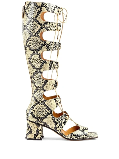Gucci Snakeskin-effect Lace-up Boots In Python Print Leather