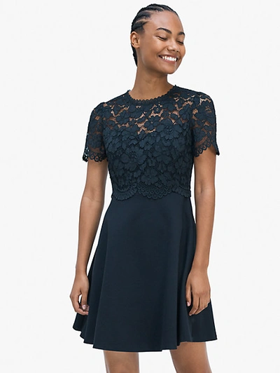 Kate Spade Rose Lace Bodice Ponte Dress In Black | ModeSens