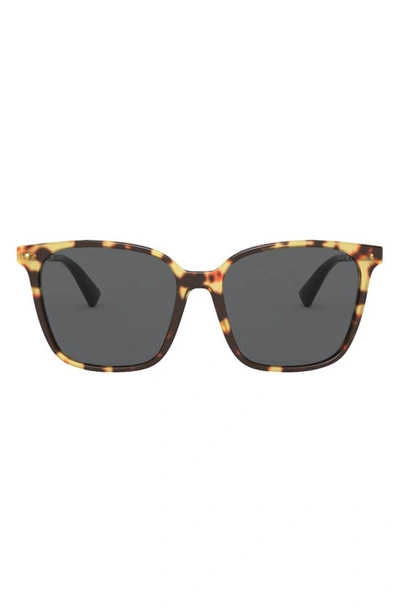 Valentino 57mm Gradient Square Sunglasses In Havana/ Smoke