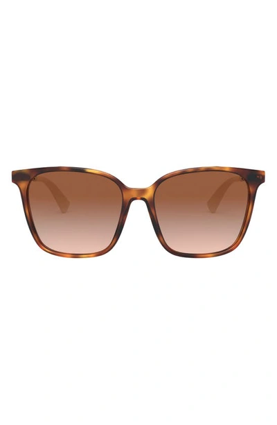 Valentino 57mm Gradient Square Sunglasses In Havana/ Brown Gradient