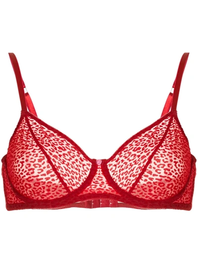 Morgan Lane Jessie Jo Leopard-print Bra In Red