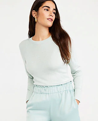 Ann Taylor Crew Neck Sweater In Mint Creme