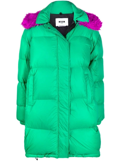 Msgm Shearling Collar Padded Coat In Green