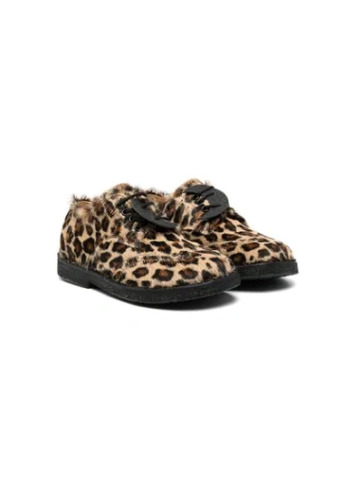 Zecchino D’oro Kids' Leopard-print Lace-up Shoes In Brown