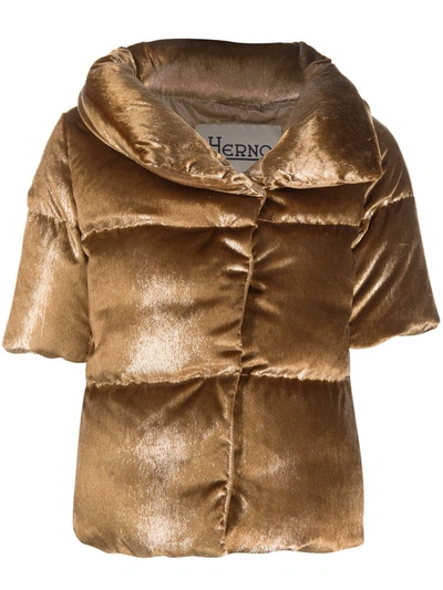 Herno Padded Cropped Jacket In Gold