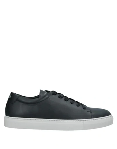 National Standard Sneakers In Black