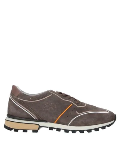 Alberto Guardiani Sneakers In Khaki