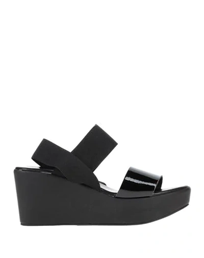 Studio Pollini Sandals In Black