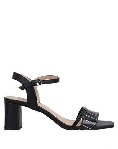 Bibi Lou Sandals In Black