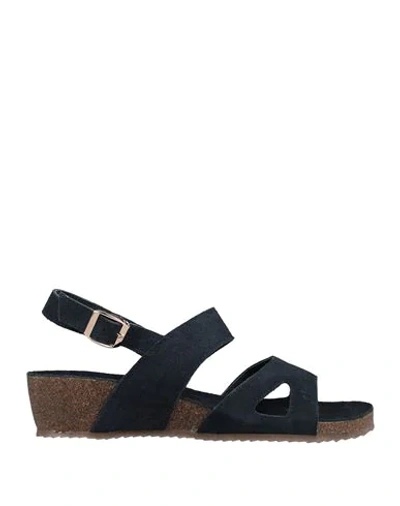 Docksteps Sandals In Dark Blue