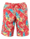 Moschino Swim Trunks In Red