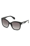 Adidas Originals Originals 54mm Gradient Butterfly Sunglasses In Shiny Black/ Smoke Gradient