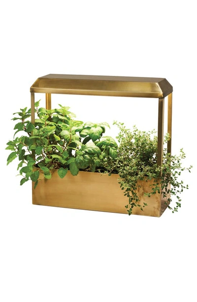Modern Sprout Smart Grow House In Antique Brass