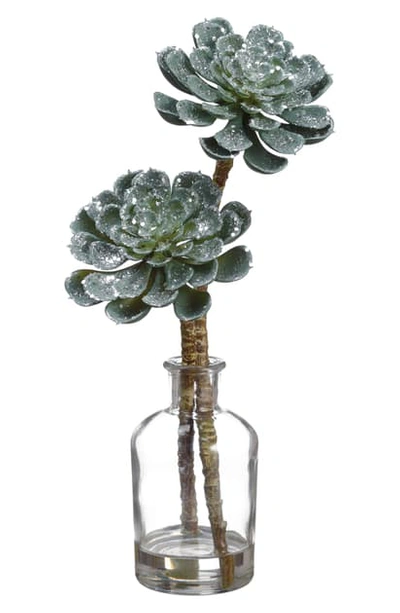 Allstate Glitter Echeveria In Vase In Green Ice