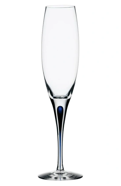 Orrefors Intermezzo Champagne Flute In Clear/ Blue