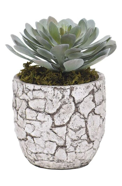 Bloomr Mini Succulent Planter Decoration In Green