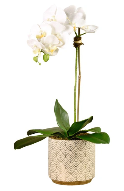 Bloomr Orchid Planter Decoration In White