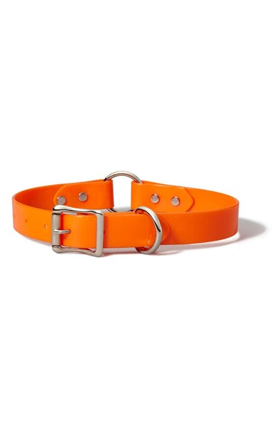 Filson Webbing Dog Collar In Blaze Orange