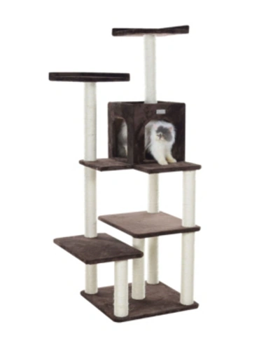 Gleepet 66-inch Real Wood 4-level Cat Tree With Condo & Two Perches In Coffee Brown