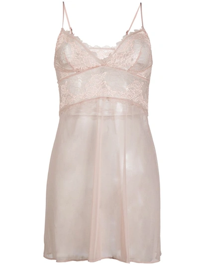Wacoal Lace Perfection Chemise In Pink