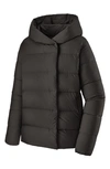 Patagonia Arctic Willow 700 Fill Power Down Puffer Jacket In Black