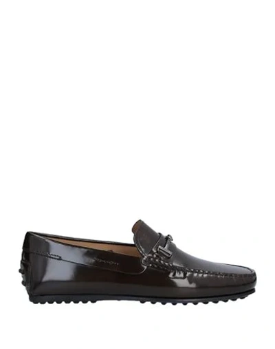 Tod's Loafers In Brown