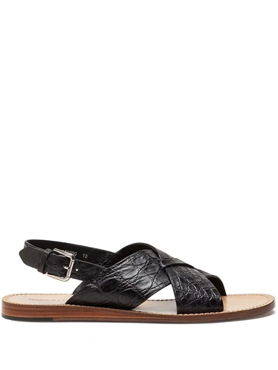 Dolce & Gabbana Hand-polished Crocodile Flank Leather Sandals In Black