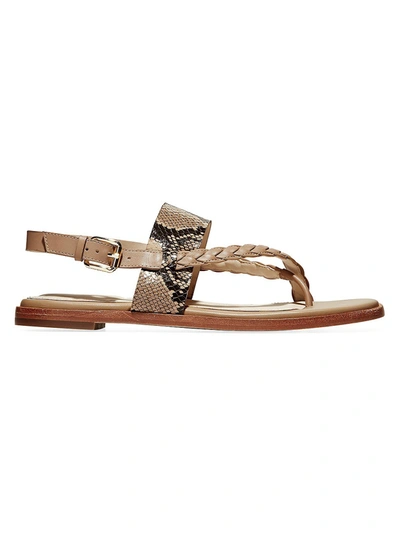 Cole Haan Women's Anica Braided Snakeskin-embossed Leather Slingback Thong Sandals In Brown