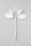 Anthropologie Canvas Magnolia Stem In White