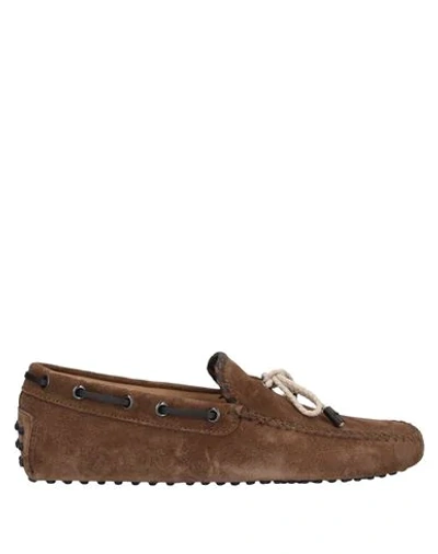 Tod's Loafers In Brown