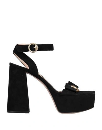 Gianvito Rossi Sandals In Black