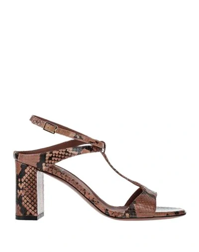 L'autre Chose Sandals In Brown