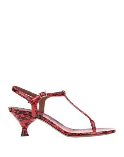 L'autre Chose Toe Strap Sandals In Red