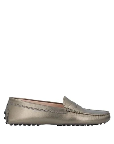Tod's Loafers In Bronze