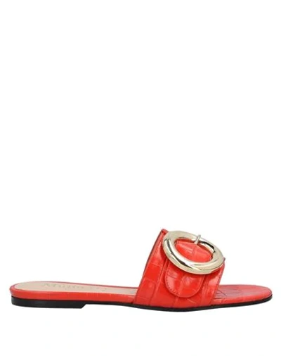 Mulberry Sandals In Red