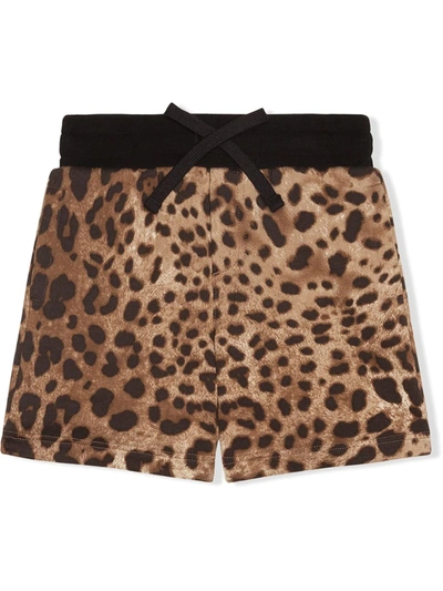 Dolce & Gabbana Kids' Jersey Bermuda Jogging Shorts With Leopard Print In Multicolor