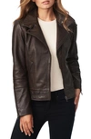 Bernardo Leather Moto Jacket In Espresso