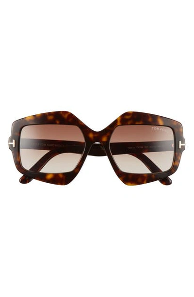 Tom Ford Tate 55mm Gradient Geometric Sunglasses In Dark Havana/ Gradient Brown
