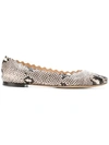 Chloé Lauren Scalloped Snake-effect Leather Ballet Flats In Neutral