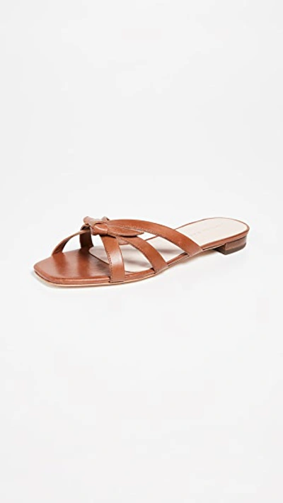 Loeffler Randall Women's Eveline Leather Slide Sandals In Cognac