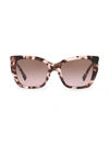 Valentino 53mm Rockstud Square Cat Eye Sunglasses In Pink Havana