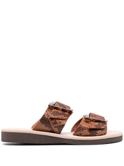 Ancient Greek Sandals Women's Iaso Python-embossed Leather Wedge Sandals In Brown