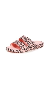 Freedom Moses Leopard-print Plastic Pool Slides In Pink