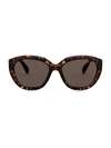 Prada 56mm Cat Eye Sunglasses In Havana