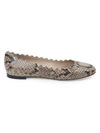 Chloé Women's Lauren Python-embossed Leather Ballet Flats In Dark Greige