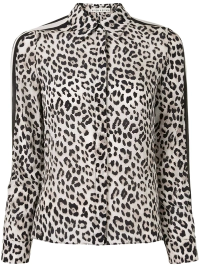 Alice And Olivia Willa Placket Leopard Print Silk Blouse In Royal Leopard