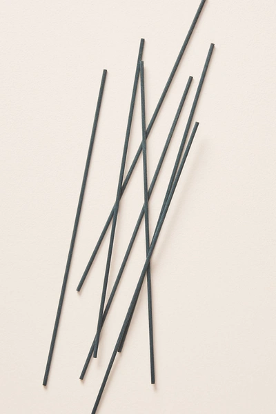 Anthropologie Diffuser Reed Sticks In Green