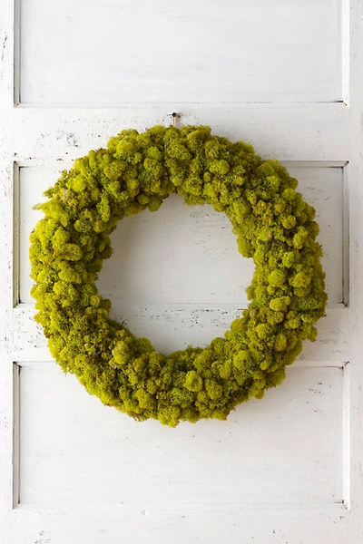 Anthropologie Reindeer Moss Wreath In Green