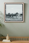 Anthropologie Landscape With Horse Wall Art By  In Black Size M