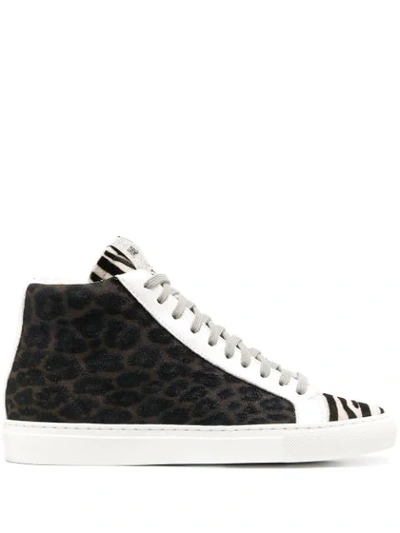 P448 Star High-top Trainers In Assorted